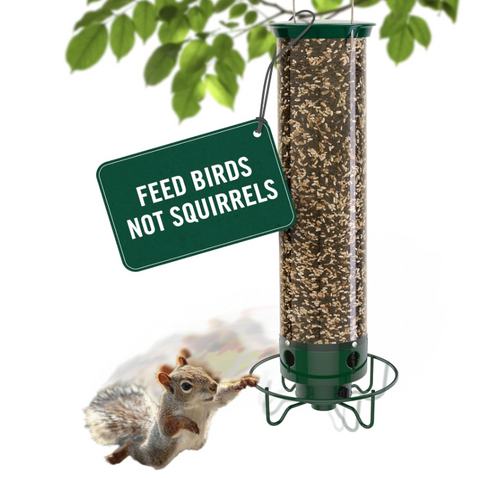 Droll Yankees Squirrel Proof Bird Feeders for Outdoors - YF-M - Flipper, Collapsible Perches, 5-Pound Seed Capacity, Green