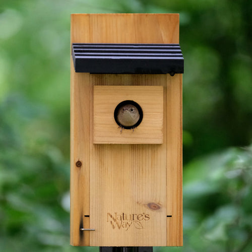 Nature's Way Cedar Bluebird Box House