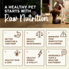 Primal Freeze-Dried Raw Nuggets Dog Food Turkey & Sardine Recipe