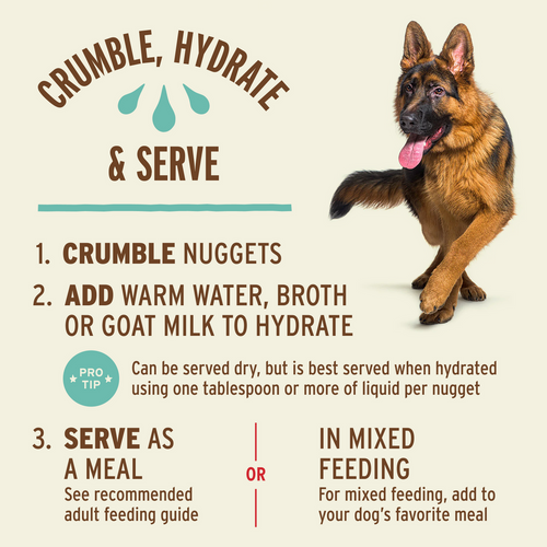 Primal Freeze-Dried Raw Nuggets Dog Food Turkey & Sardine Recipe