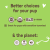 Cookie Pal Pumpkin & Chia Biscuits Dog Treats