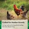 NatureWise® 20% Protein Feather Fixer Pellet Poultry Feed