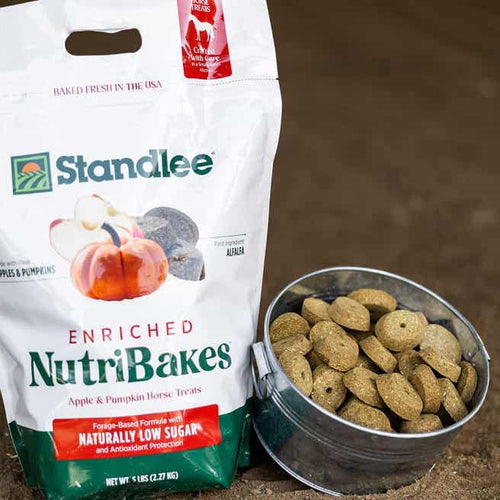Standlee Apple & Pumpkin NutriBakes Horse Treats