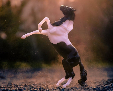 Breyer Black Pinto Rearing Mustang Retired