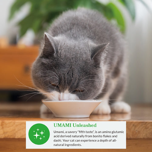 Inaba Dashi Delights Chicken with Tuna & Salmon Recipe Cat Treat