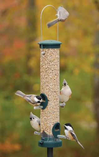 Aspects® Quick Clean Seed Tube Feeder Spruce