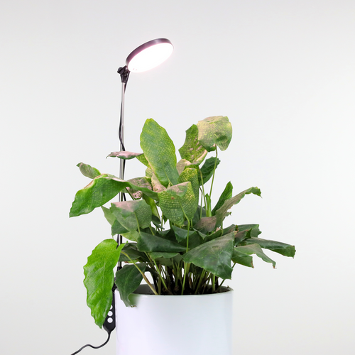 Mossify 28 LED Plant Light Blk