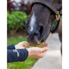 Equine Elixirs Ulceraser® Gastric Support