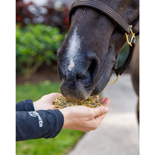 Equine Elixirs Ulceraser® Gastric Support