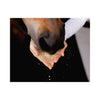 Equine Elixirs Calmakazi® Nervous System Support