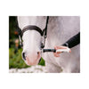Equine Elixirs Sudden Comfort® Fast Acting Calming Paste