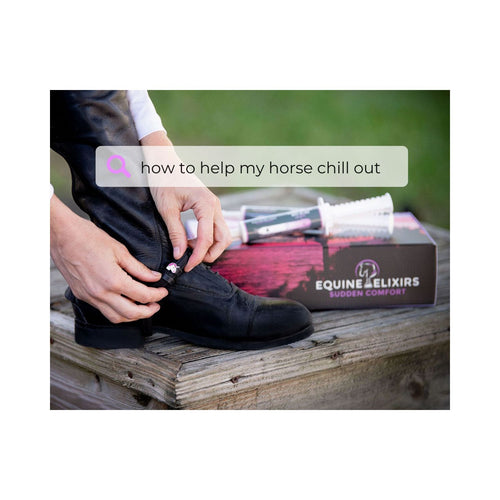 Equine Elixirs Sudden Comfort® Fast Acting Calming Paste