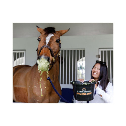 Equine Elixirs Chug® Equine Hydration