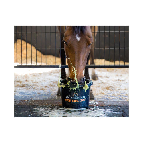 Equine Elixirs Chug® Equine Hydration