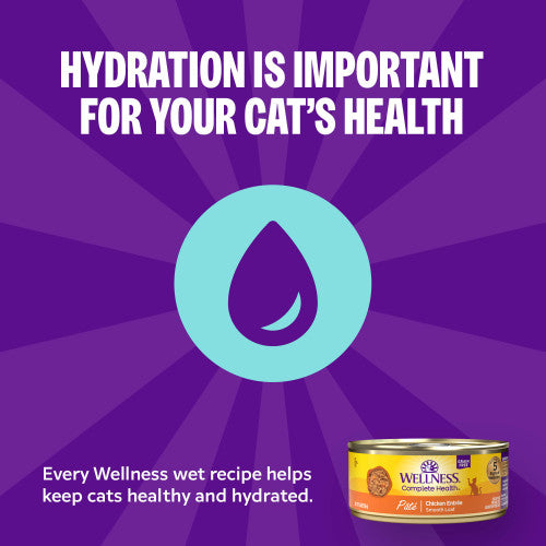 Wellness Complete Health Kitten Pate Whitefish & Tuna Entrée Smooth Loaf Wet Cat Food