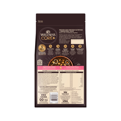 Wellness CORE+ Sensitive Skin & Stomach Salmon & Rice Recipe Dry Dog Food