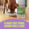 Wellness Protein Bowls Chicken, Quinoa & Pumpkin Wet Dog Food