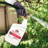 Bonide Captain Jack’s Spotted Lanternfly Eliminator Ready-to-Spray