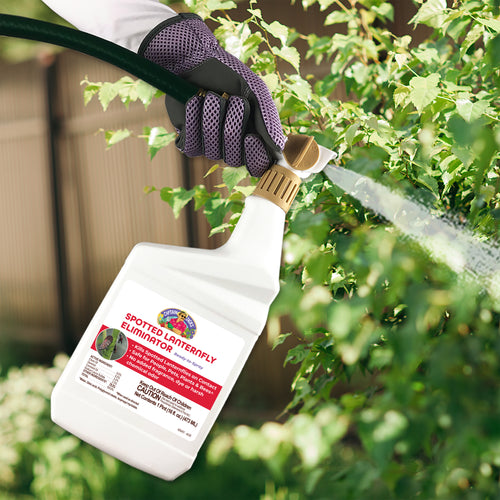 Bonide Captain Jack’s Spotted Lanternfly Eliminator Ready-to-Spray