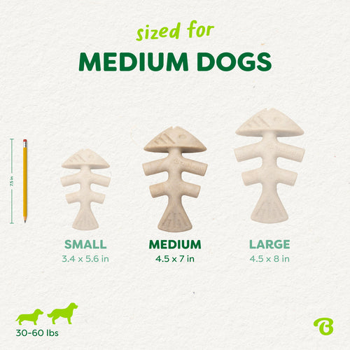 Benebone Green Fishbone Plant-Based Dog Toy for Moderate Chewers