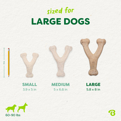 Benebone Green Wishbone Plant-Based Dog Toy for Moderate Chewers