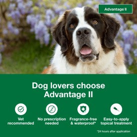 Advantage II XL Dog Vet-Recommended Flea Treatment & Prevention