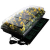 Hydrofarm Germination Station With Heat Mat (11X22 INCH)