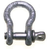 Anchor Shackle, Screw Pin, 7/16-In.