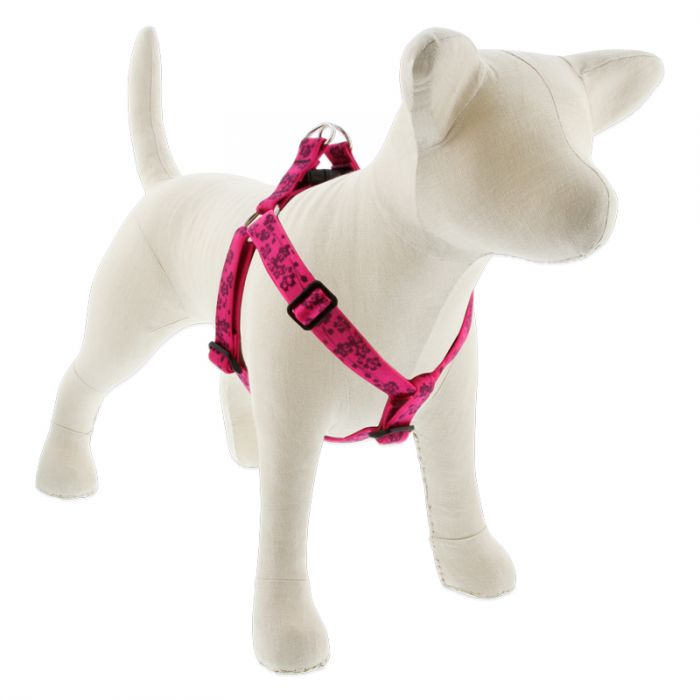 Lupine dog store harnesses and leashes