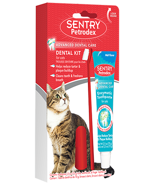 SENTRY Petrodex Dental Care Kit For Cats Danbury CT New