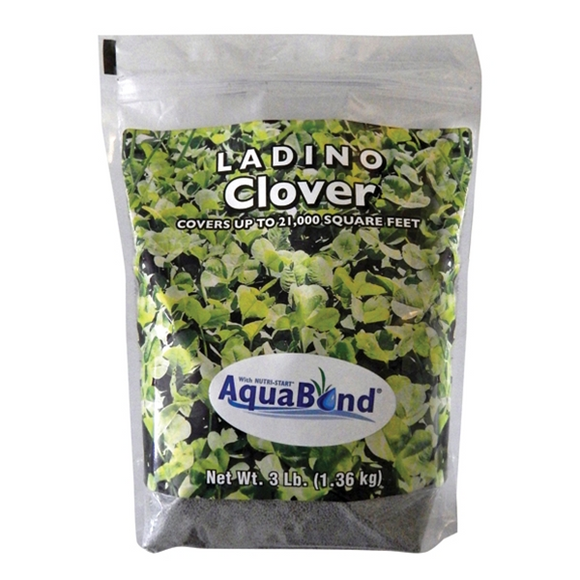 Southern States® Ladino Clover (3 lbs)