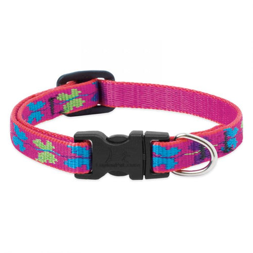 Lupine original dog collar best sale