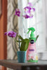 Miracle-Gro® Ready-To-Use Orchid Plant Food Mist