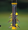 Droll Yankees® New Generation® Tube Finch Feeder