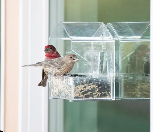 Perky-Pet® Window Bird Feeder