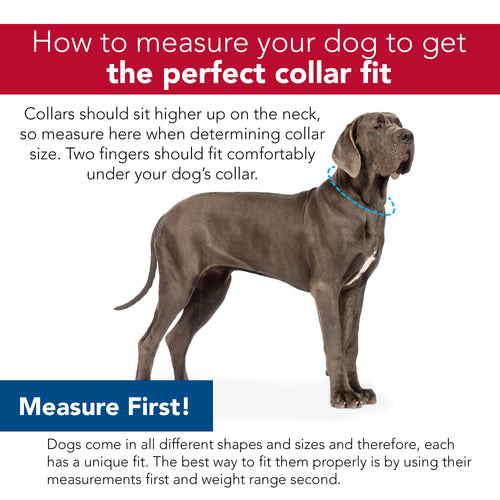 Coastal Pet SecureAway Flea Collar Protectors